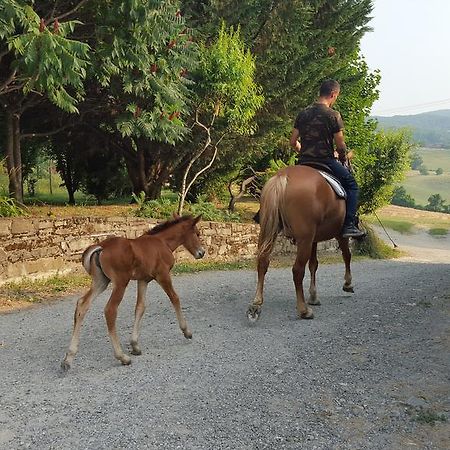 Вилла Agriturismo Corte Del Gallo Ривергаро Экстерьер фото