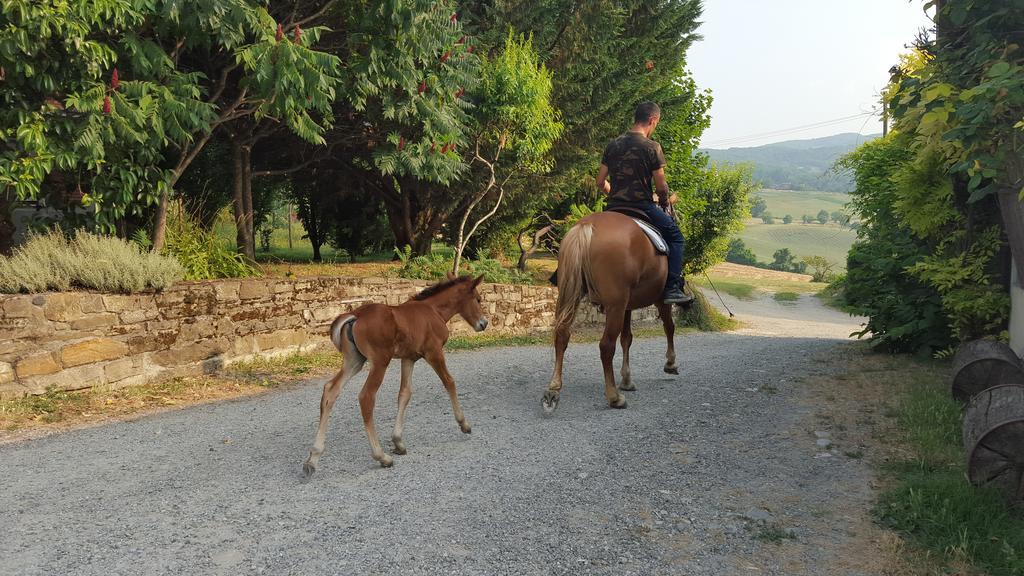 Вилла Agriturismo Corte Del Gallo Ривергаро Экстерьер фото